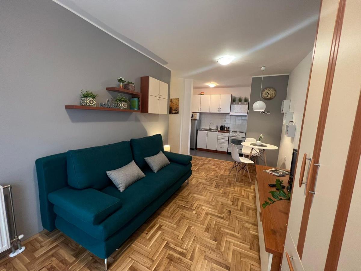 Grey Apartment Novi Sad