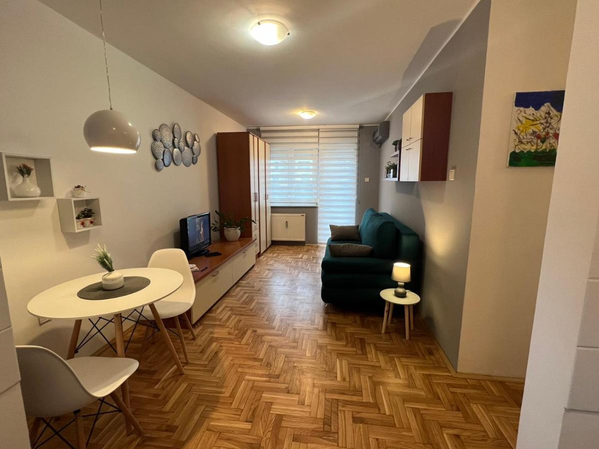 Grey Apartment Novi Sad